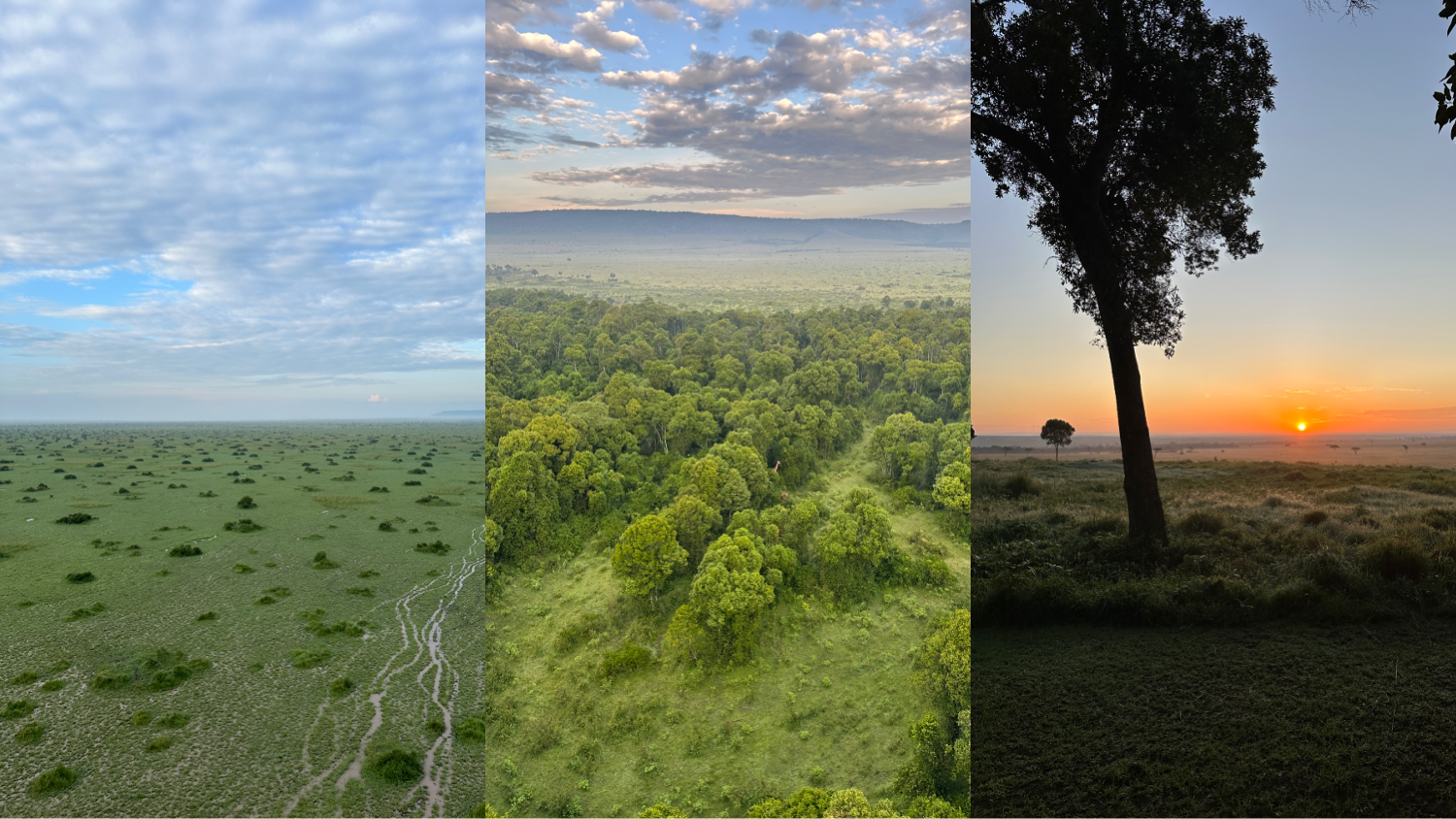 Breathetaking views of the Masai Mara