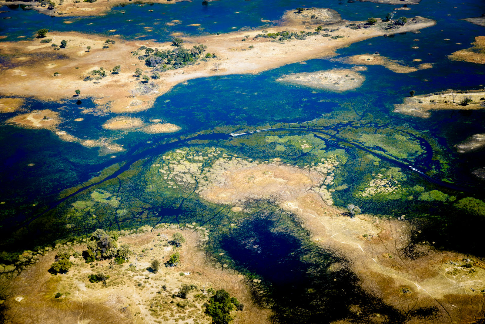 delta view