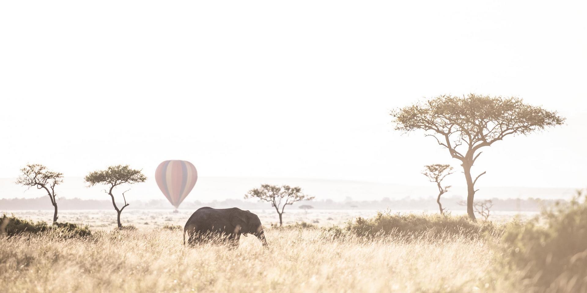 Wilderness Mara, Kenya