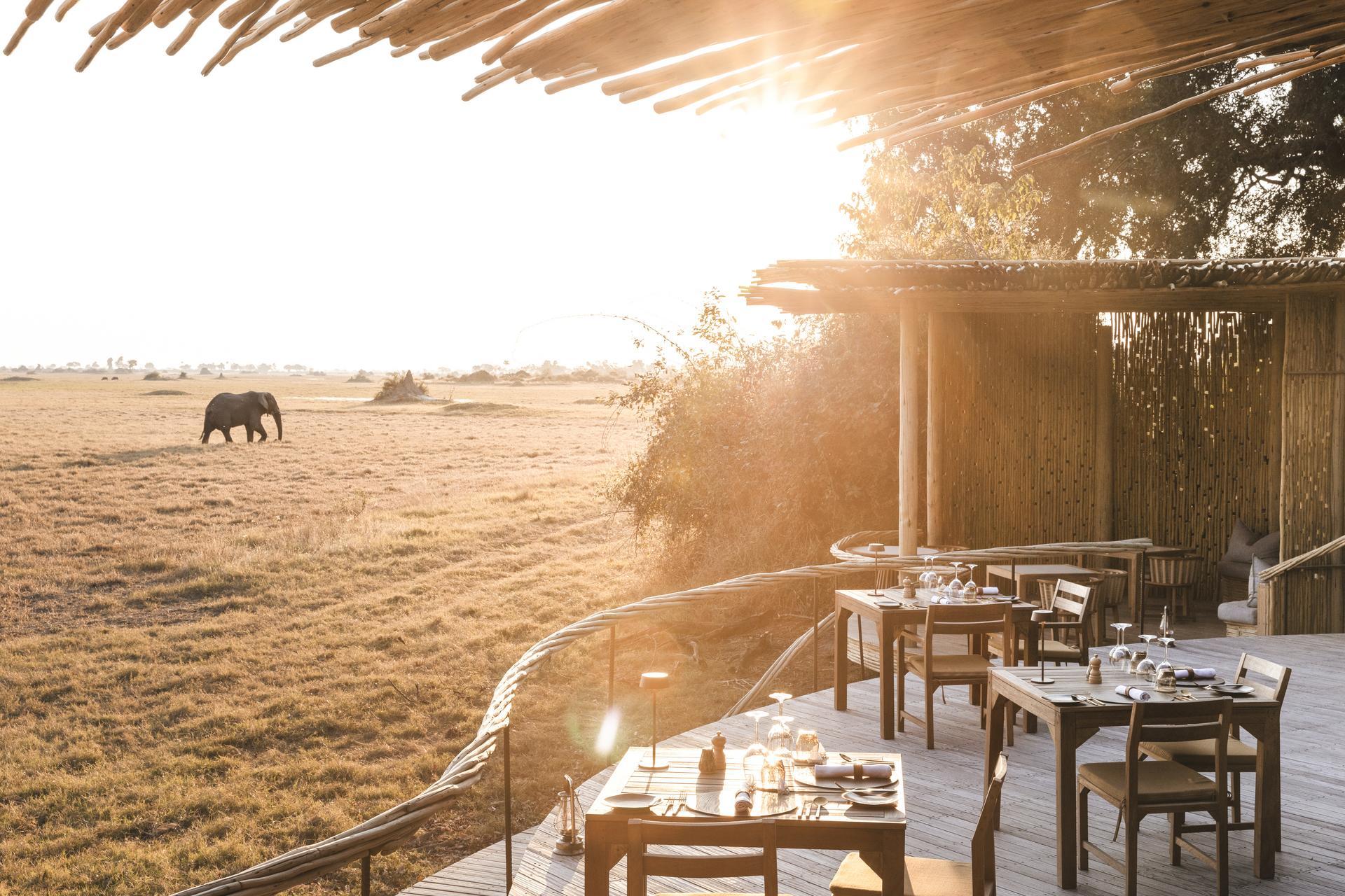 Wilderness Mombo, dining area