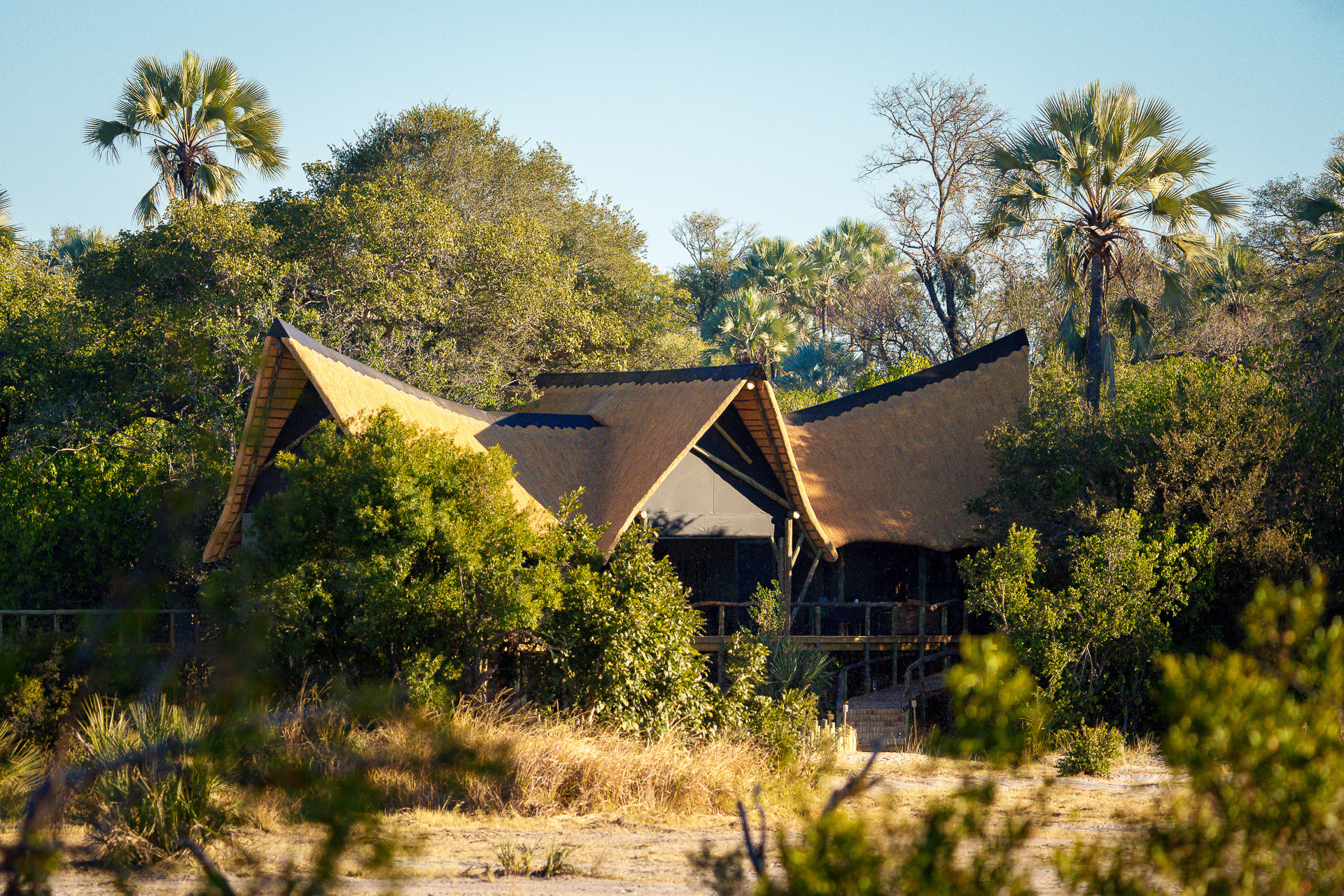 Wilderness Little Tubu