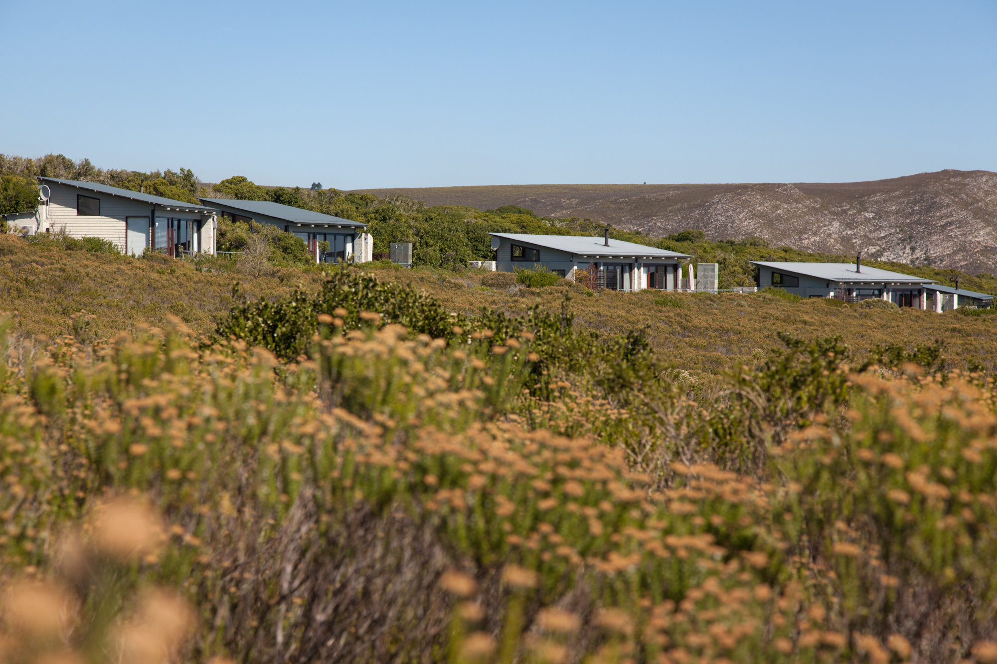 Grootbos Private Nature Reserve, exterior view