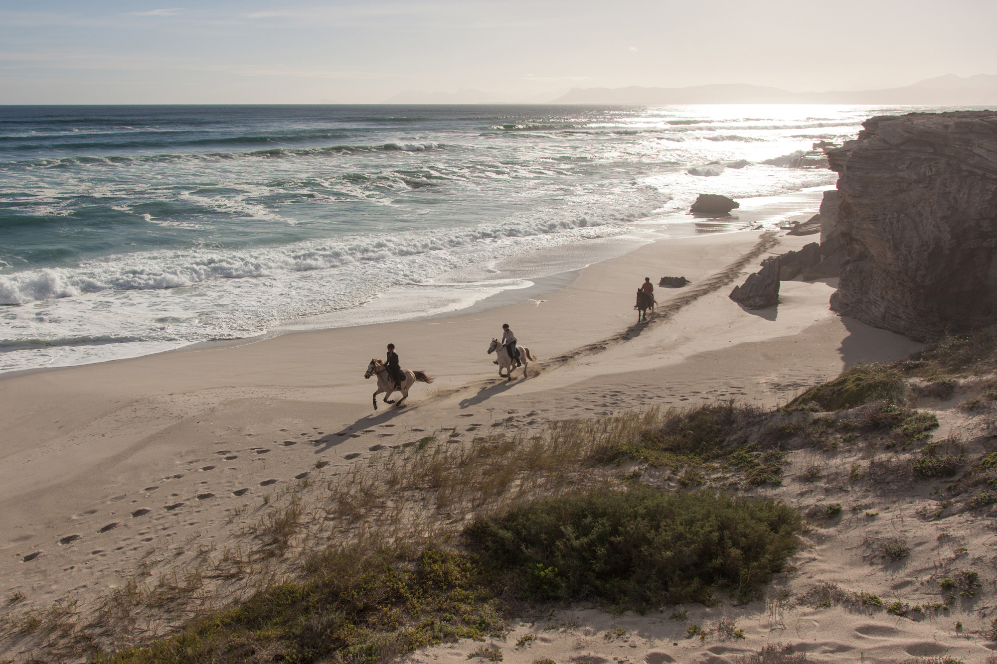 Grootbos Private Nature Reserve, horse riding