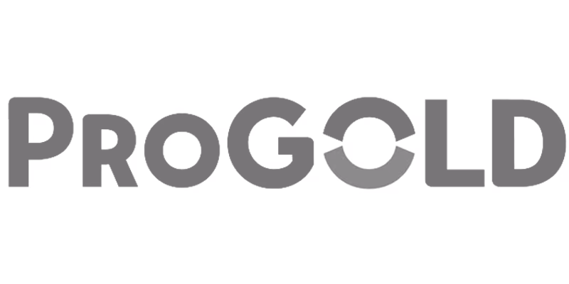 Logo met het woord 'PROGOLD' in hoofdletters zonder extra afbeeldingen of achtergrond.