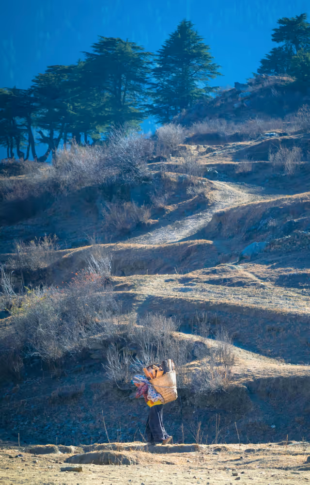 Porteur dans un paysage de collines et forêts au Népal.