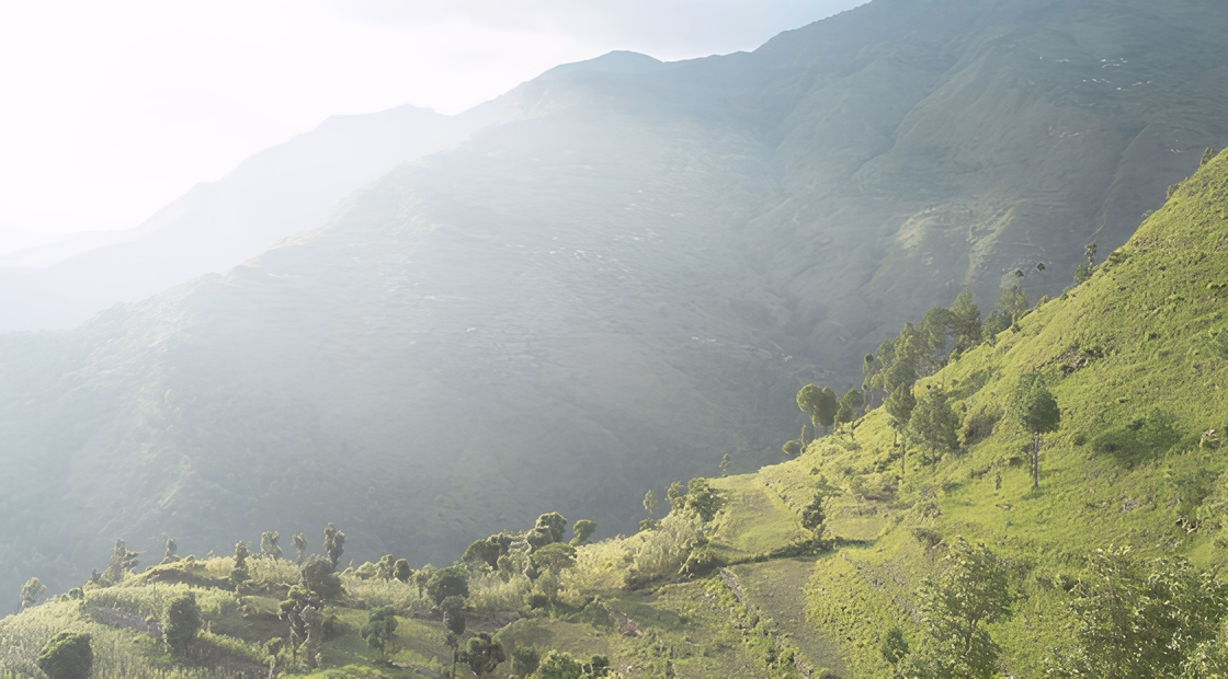Vallée verdoyante au Népal avec collines et prairies.
