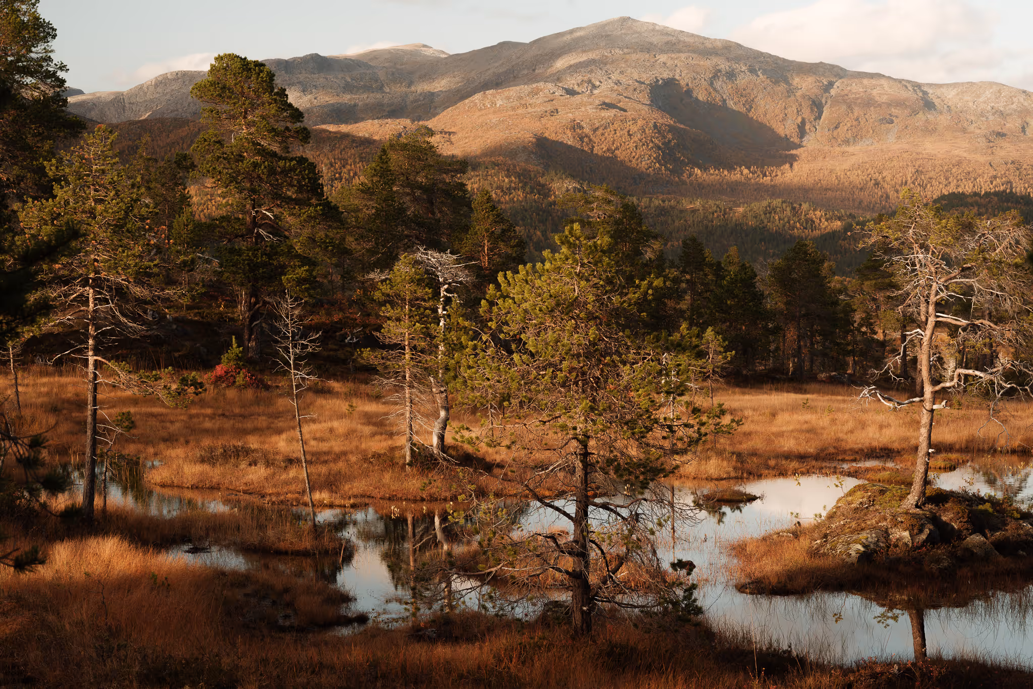 Paysage magnifique en Norvège.