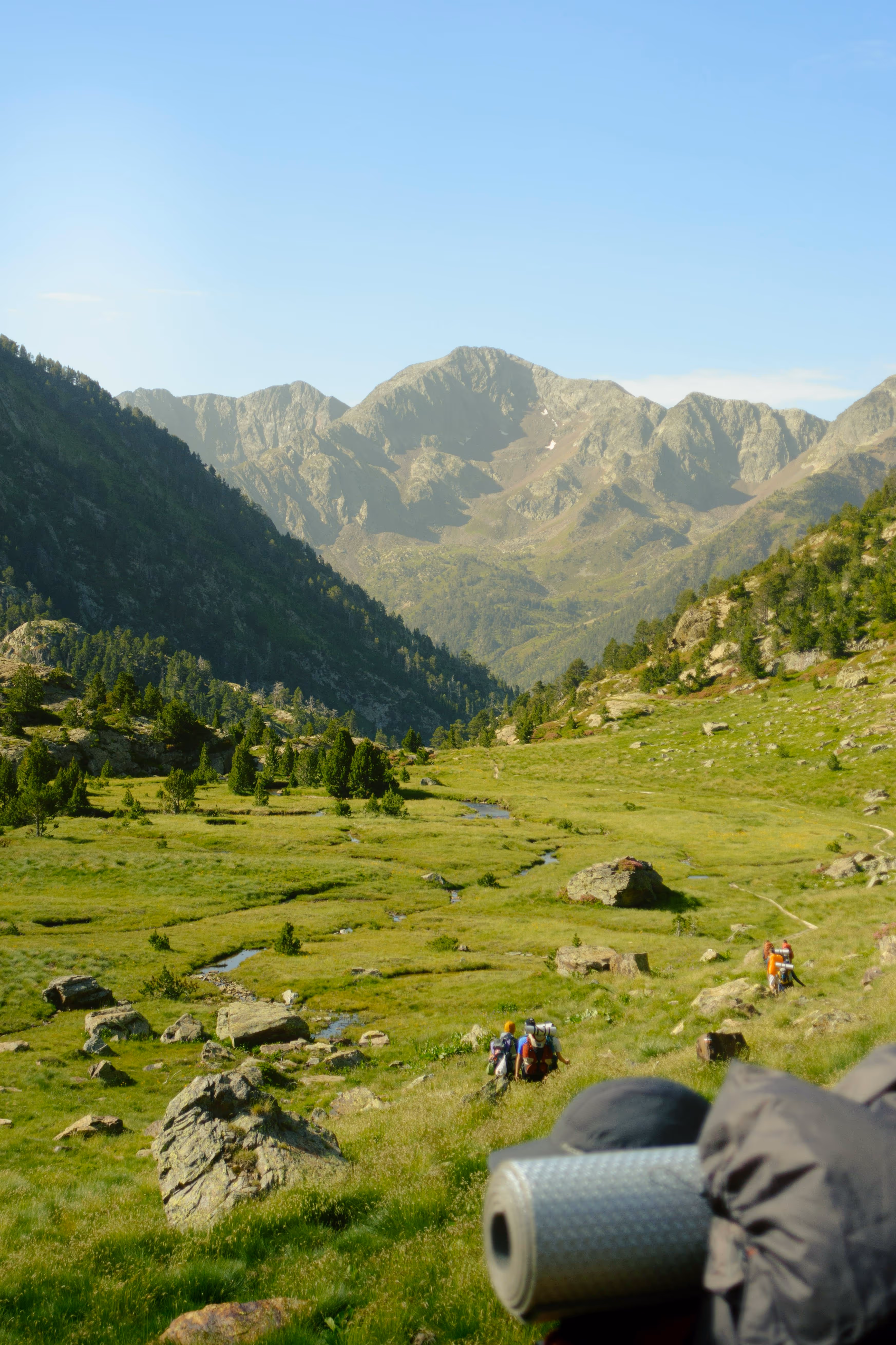 Vallée verdoyante de montagne avec ruisseau dans les Pyrénées