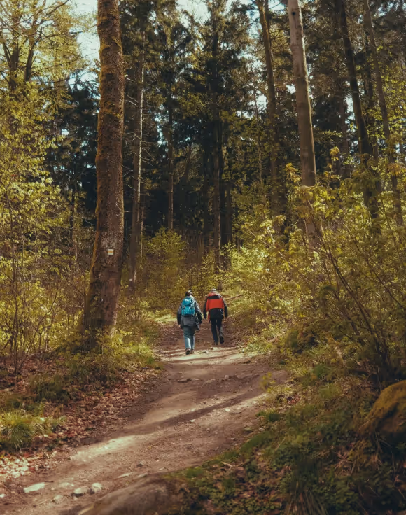 Balade en forêt pendant un séjour nature pour les 60 ans et plus