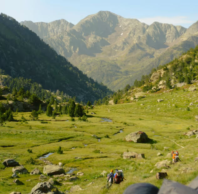 Vallée de montagne verdoyante sous ciel vosgien dégagé, sentier de randonnée itinérante Vosges en Hamac