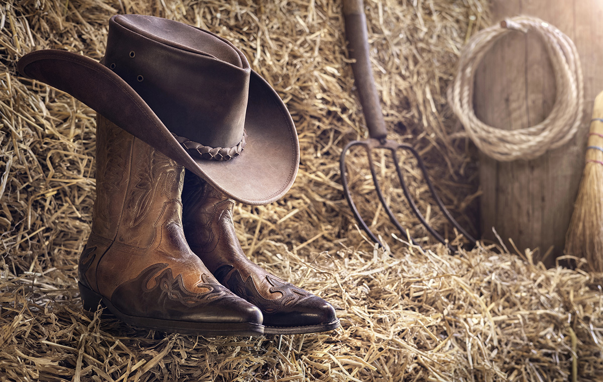 Calgary Stampede!