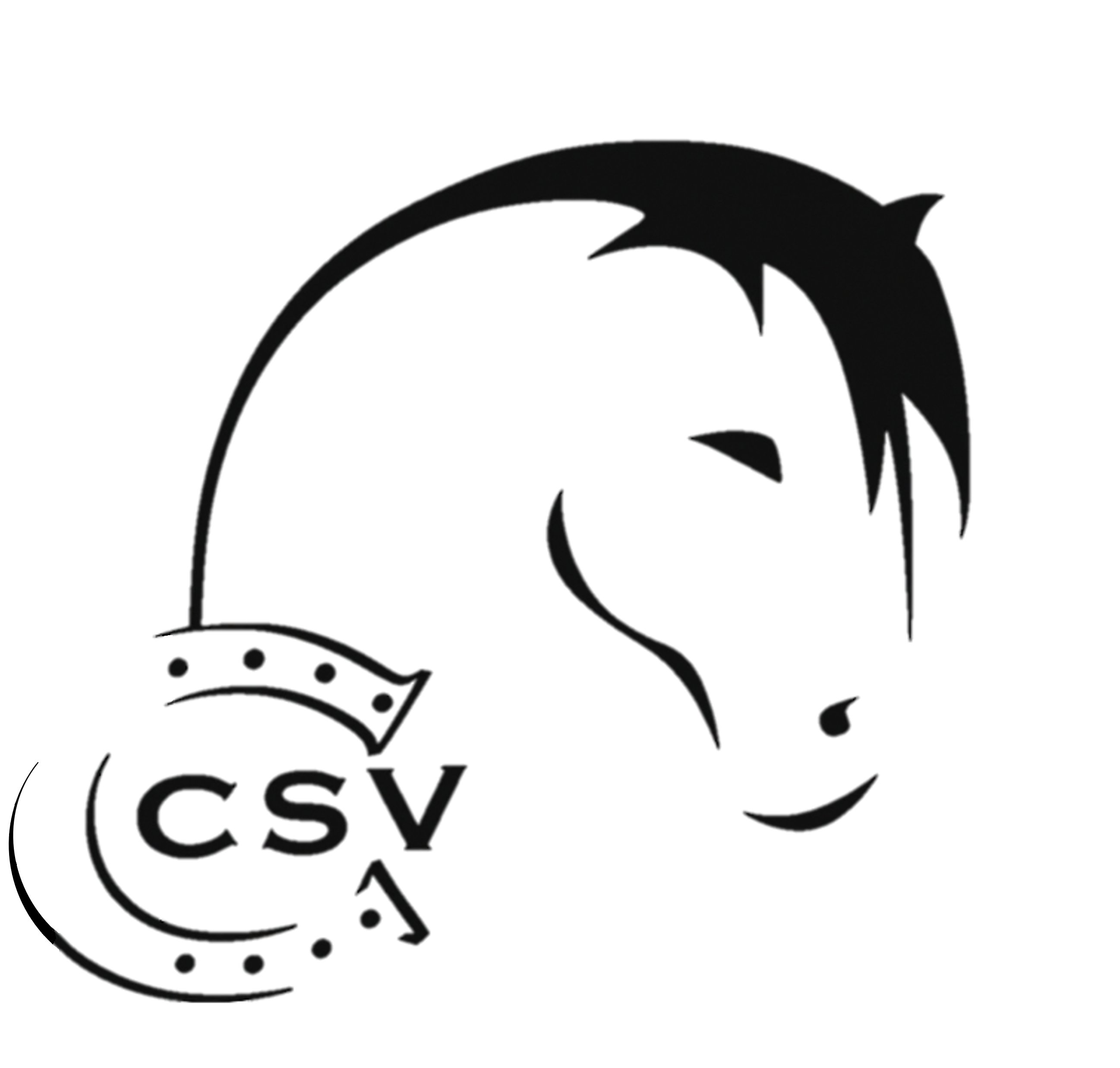 Logo CSV
Go to the home page