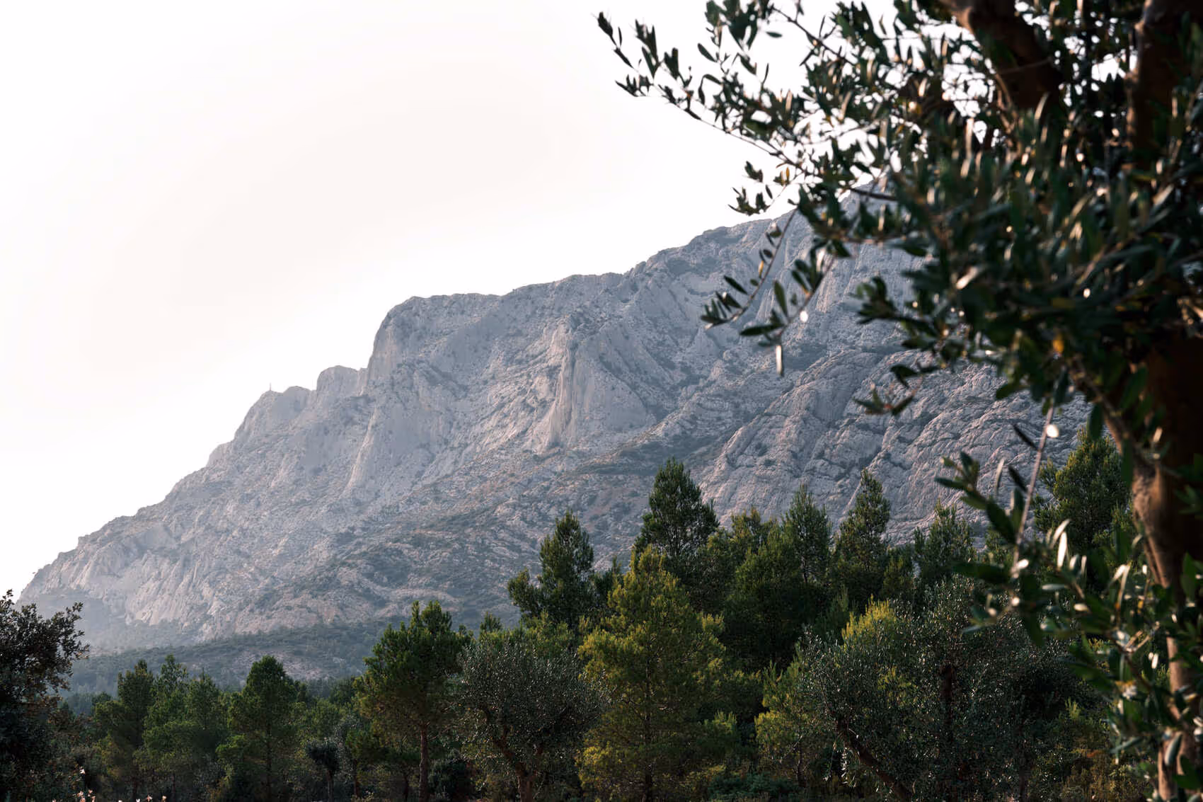Mont Sainte-Victoire in the background and forest in the foreground