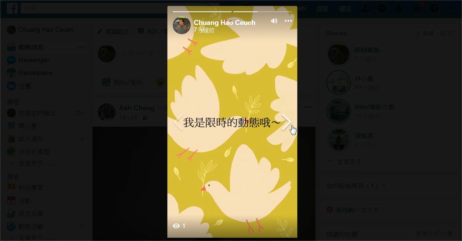 Facebook 限時動態介面，顯示一則帶有鴿子插圖的貼文。
