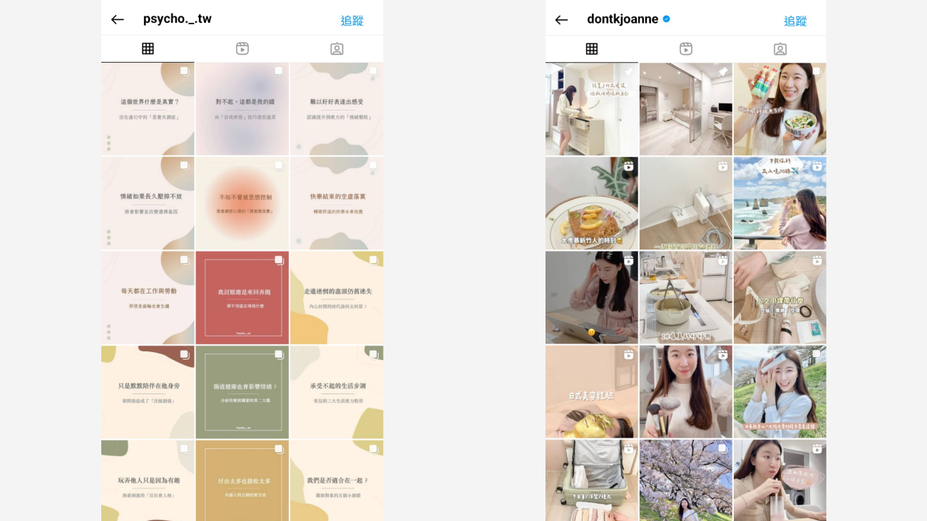 兩個 Instagram 帳號展示精心策劃的貼文與美學風格。