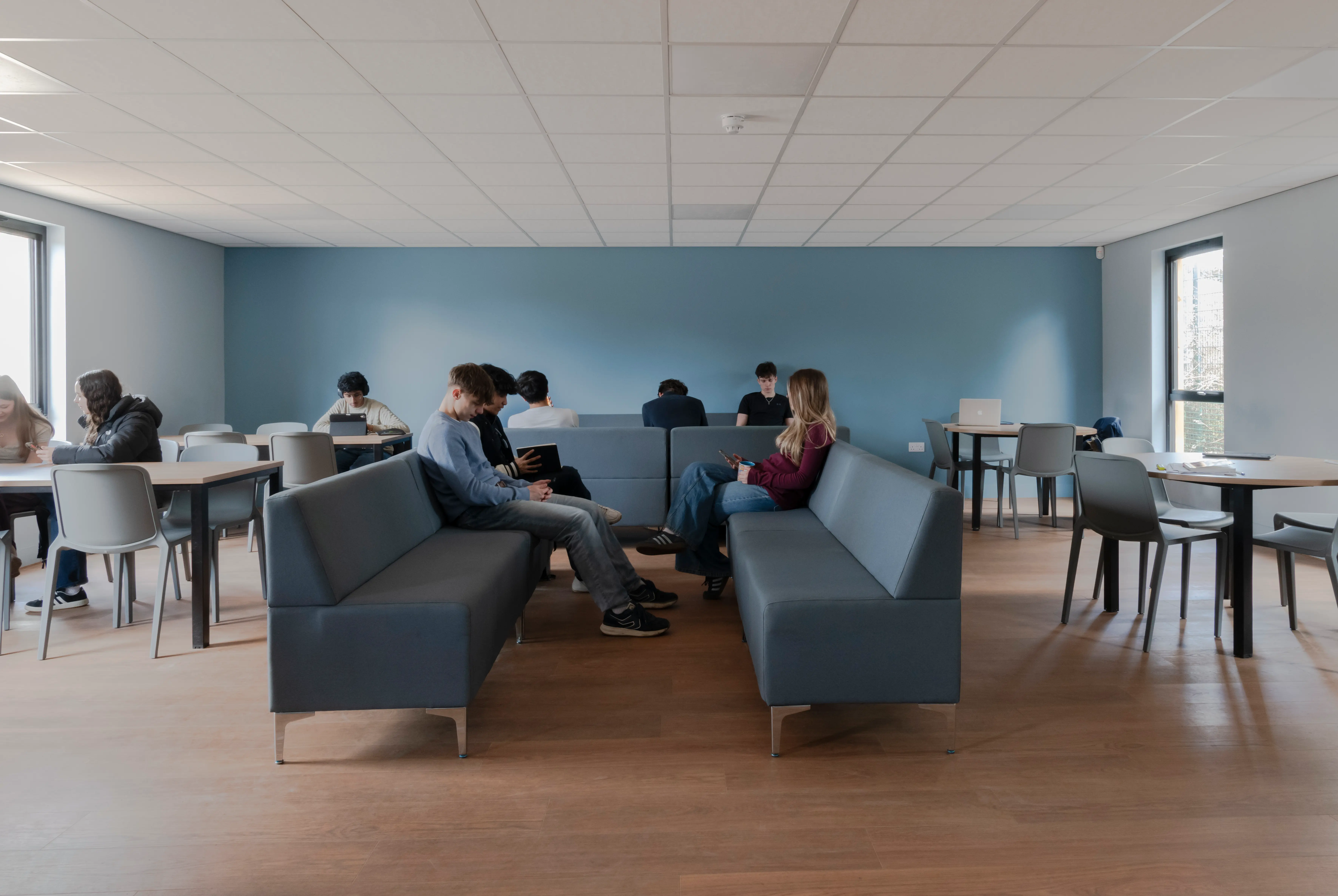 biophilic design on modular school building