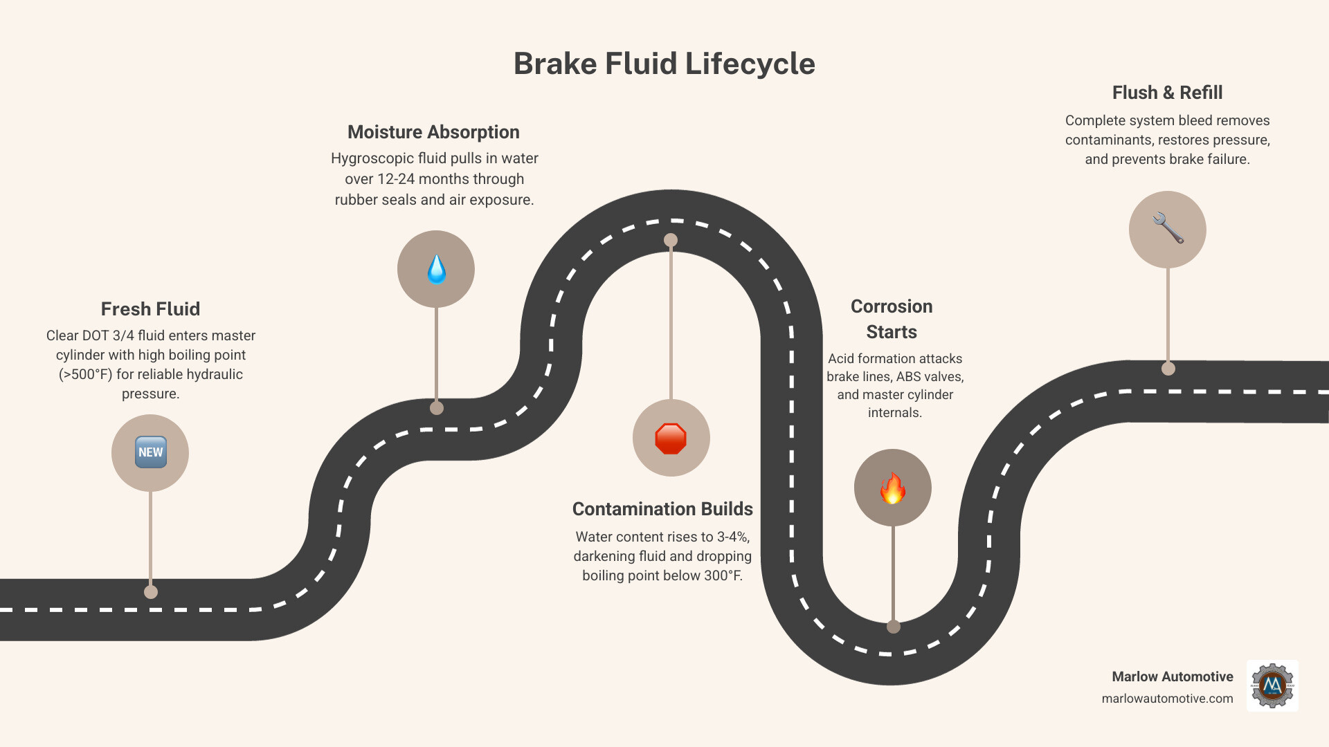 Infographic showing the brake fluid lifecycle: fresh DOT 4 fluid entering the master cylinder, gradual moisture absorption over 12-24 months, rising contamination levels lowering the boiling point, corrosion forming in brake lines and ABS components, and the final flush-and-refill process restoring hydraulic pressure and braking efficiency — with warning signs listed at each stage - best brake fluid flush in garland, tx infographic roadmap-5-steps