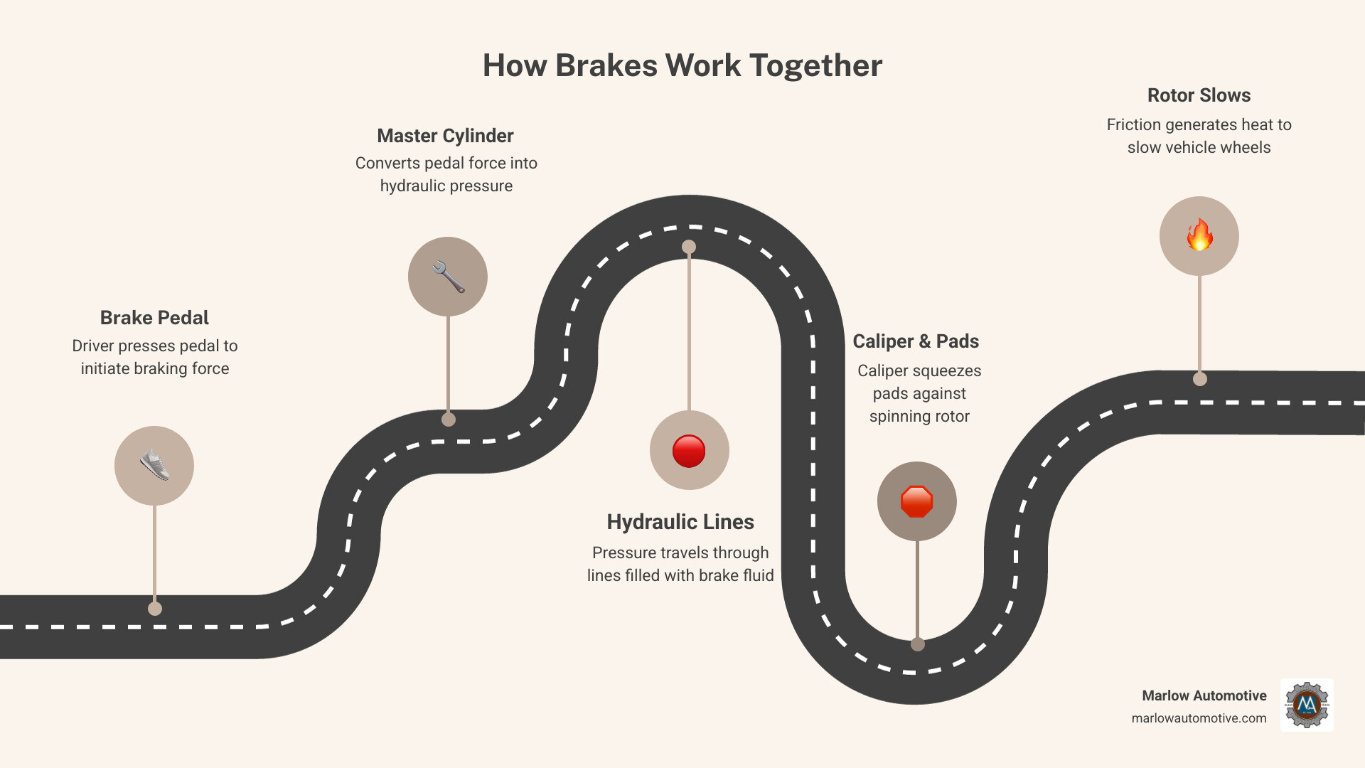 Infographic showing how brake components work together: brake pedal input travels through the master cylinder and hydraulic lines to calipers that squeeze brake pads against rotors to slow the vehicle, with labels for ABS sensors, brake fluid reservoir, emergency brake cable, and wear indicators on pads, alongside a timeline showing inspection intervals at 12 months or 30,000 to 50,000 miles - best brake repair in carrollton, tx infographic roadmap-5-steps
