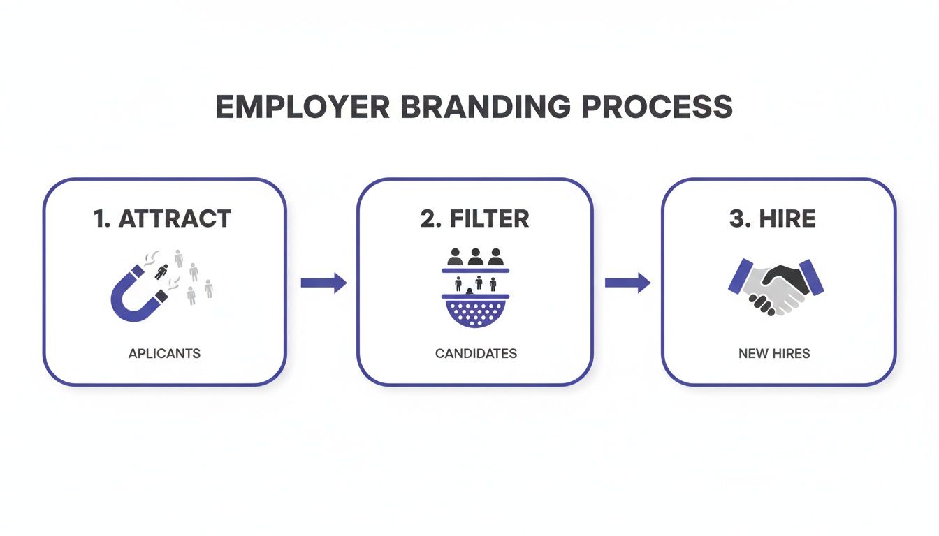Infographic showing the employer branding process: attract applicants, filter candidates, and hire new employees.