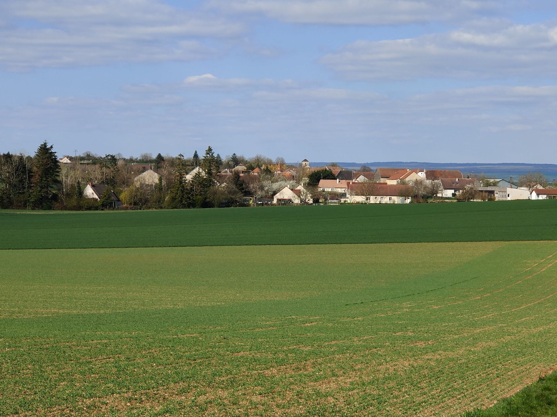 champs et village en arrière plan