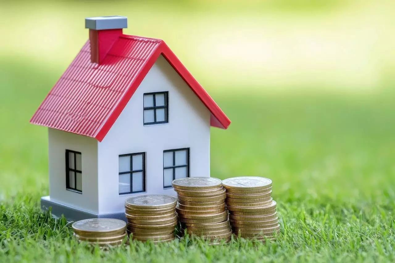 figurine maison sur l'herbe avec monnaie