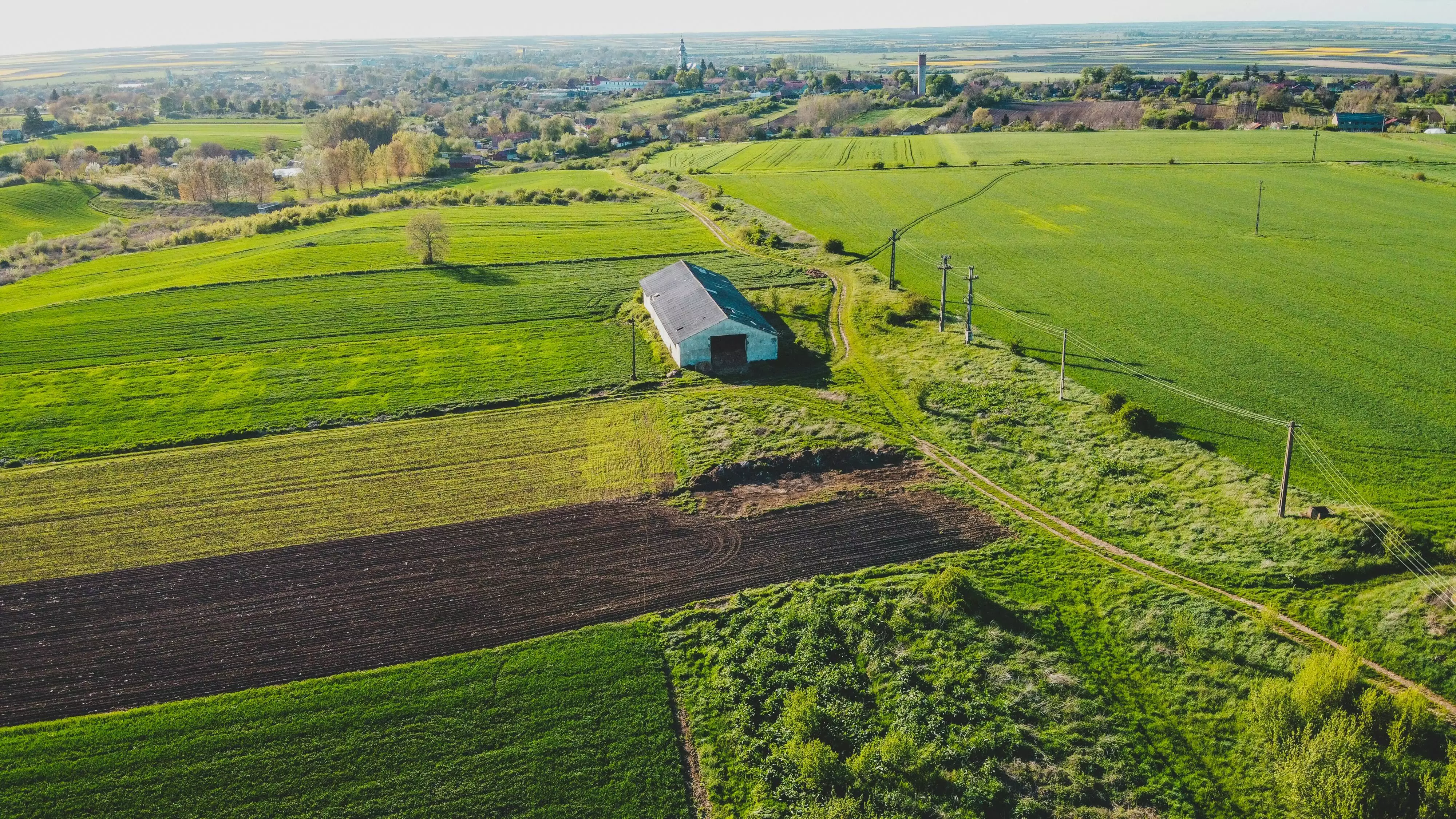 champs verdoyant en campagne