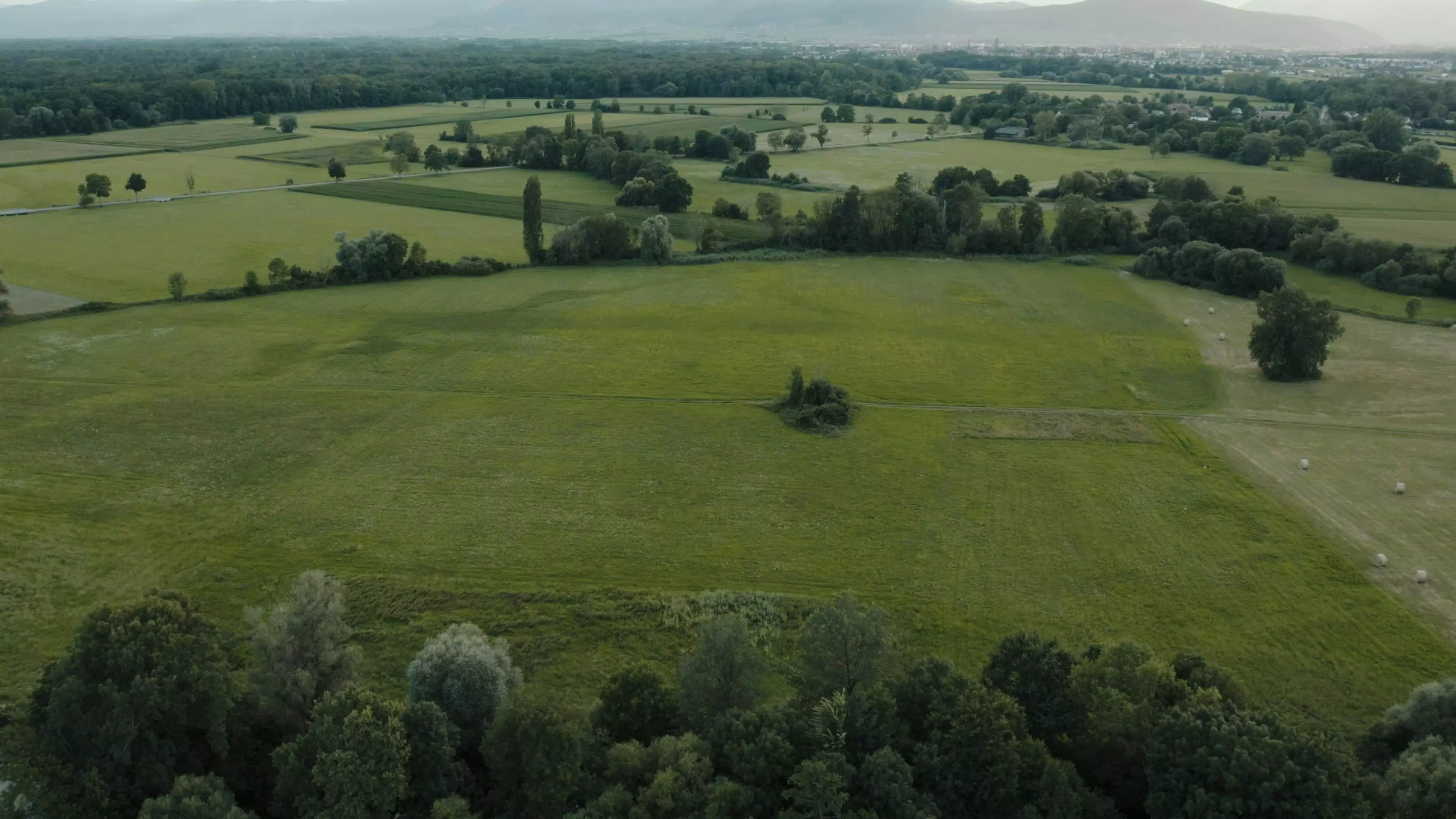 champs verdoyant vue aérienne dans la campagne