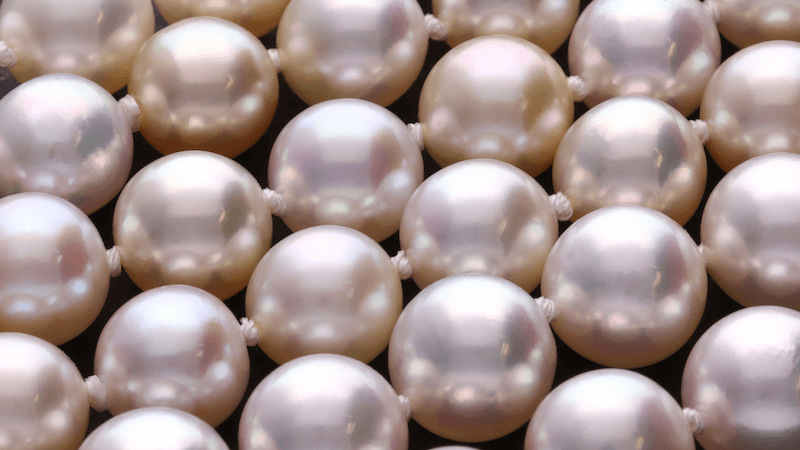Akoya Pearls by Cellini