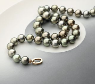 Pearls by Cellini Cambridge Jewellers