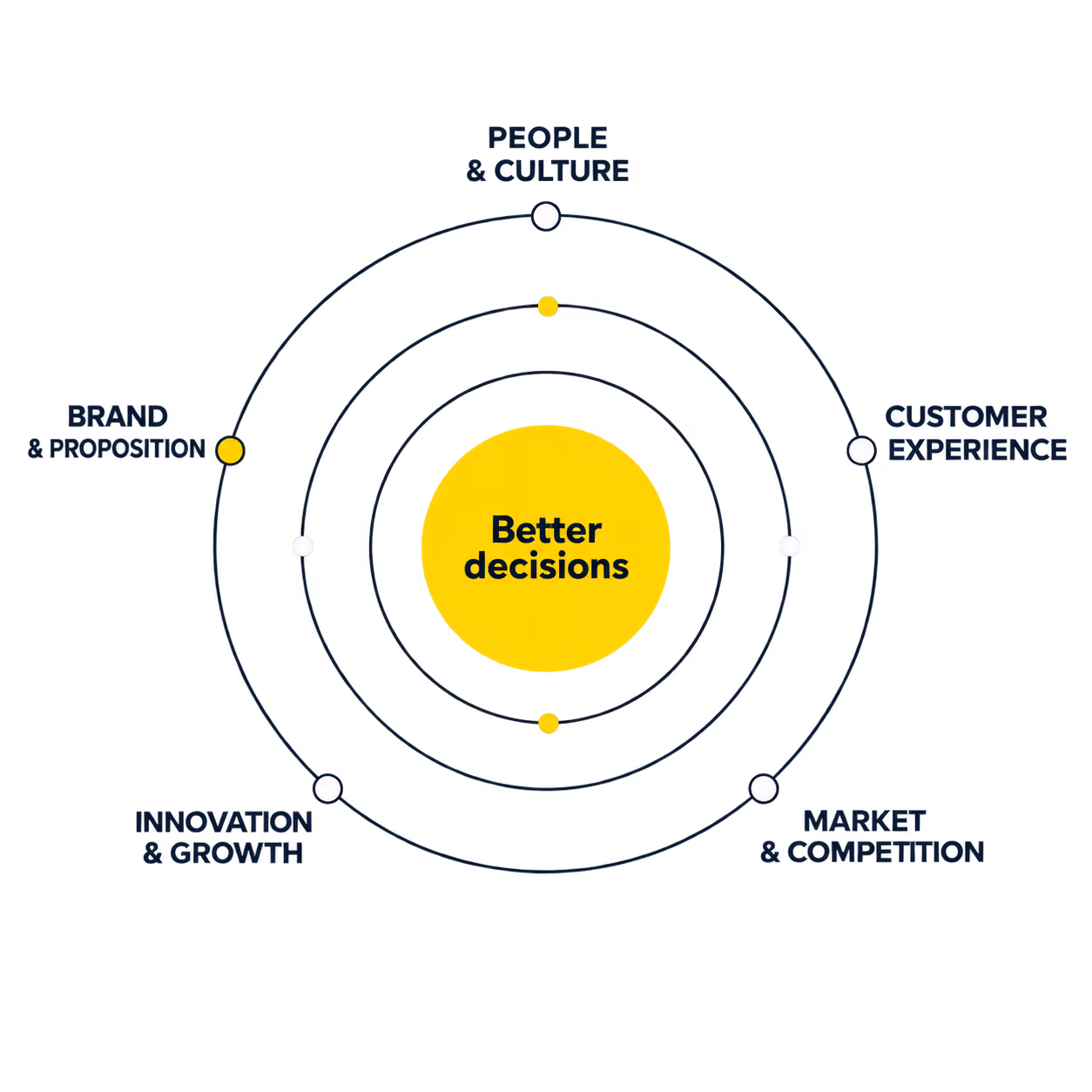 Insight Partner Hero image