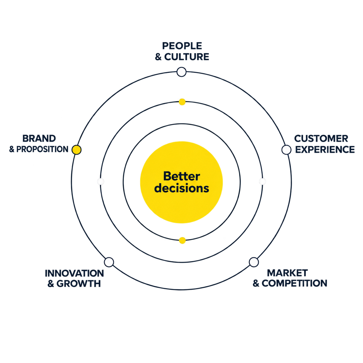 Insight Partner Hero image