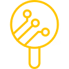Insight nodes