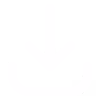 Download Icon