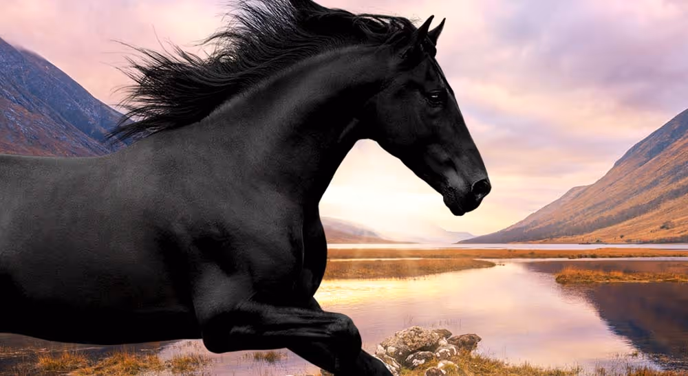Lloyds Banking Group image