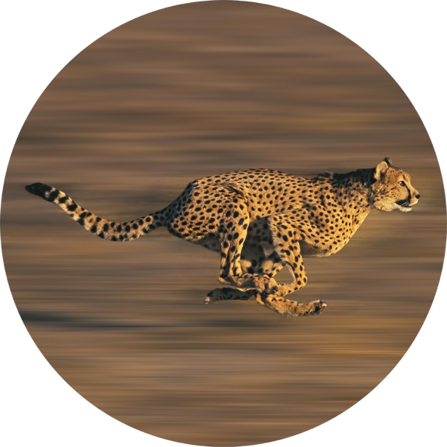 Integration icon