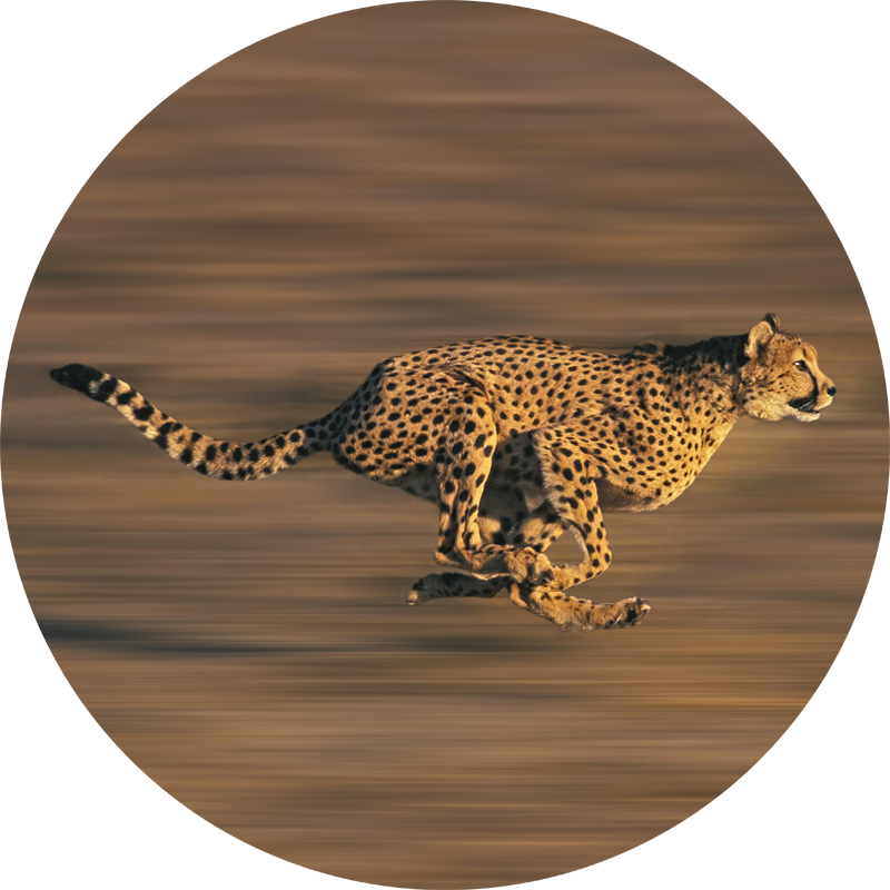 Integration icon
