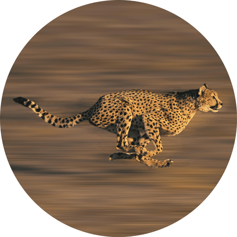 Integration icon
