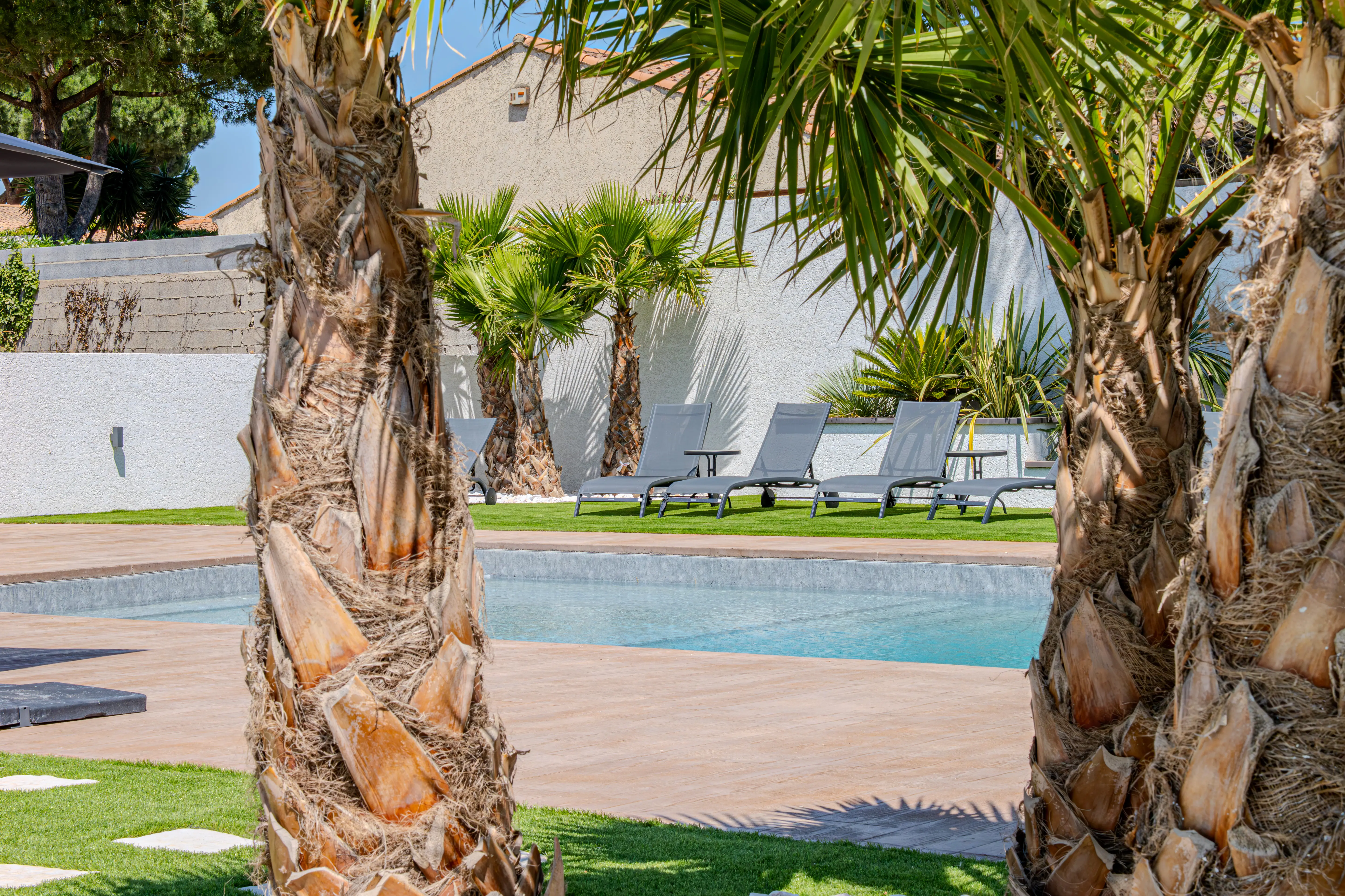 A picture of the swimming pool taken from the side behind some palms.