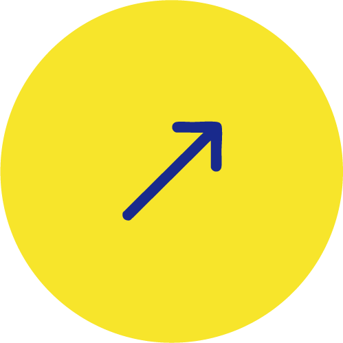 Home v1 portfolio button