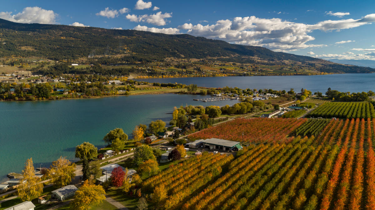 Lake country landscape view in autumn