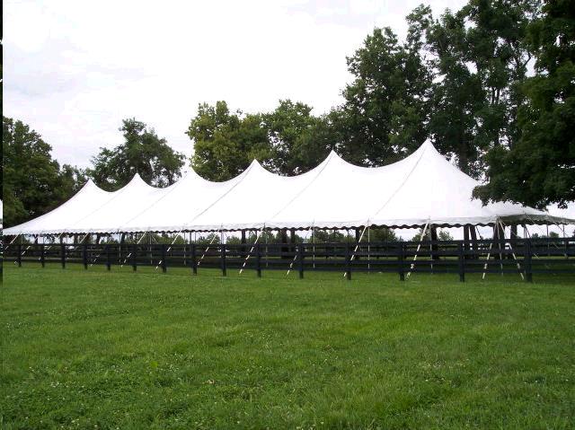 Pole Tent, 40x160