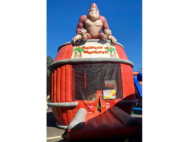 Infl, Bouncer Of Monkeys