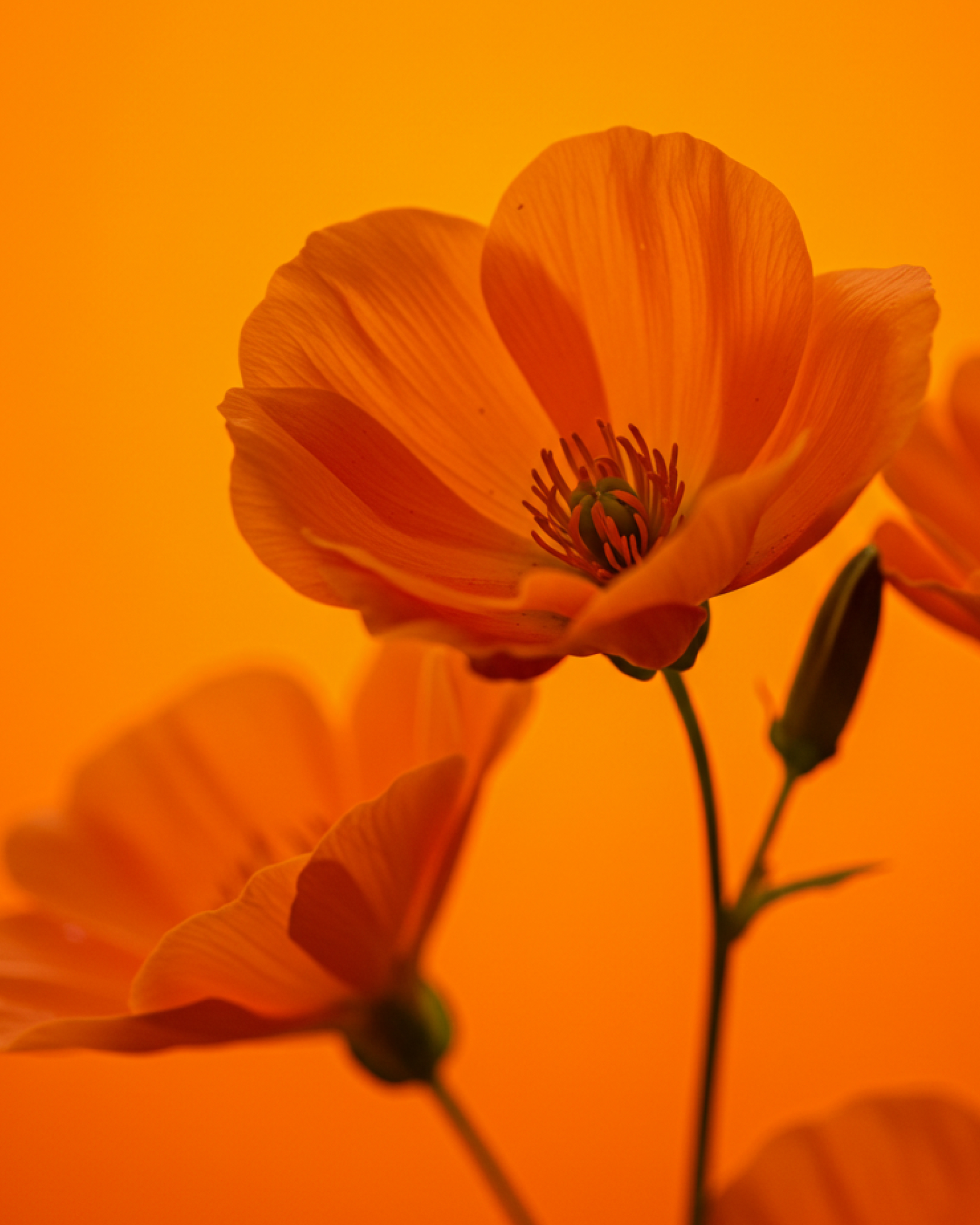 Seamless Platform Transitions with YG3 Andromeda