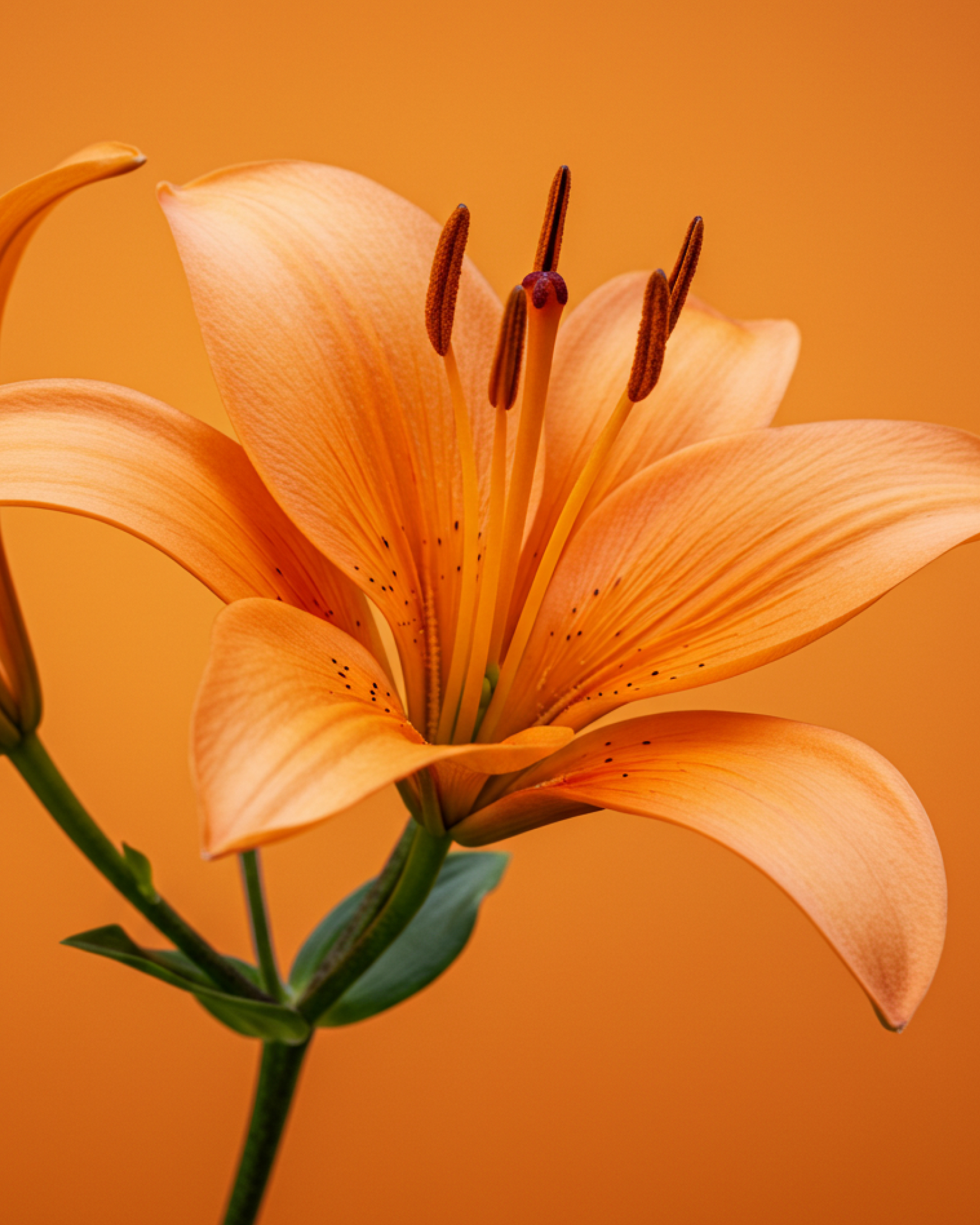 The Road to AI Mastery with YG3