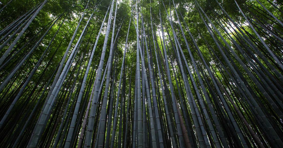 mistakes AI Business Tools