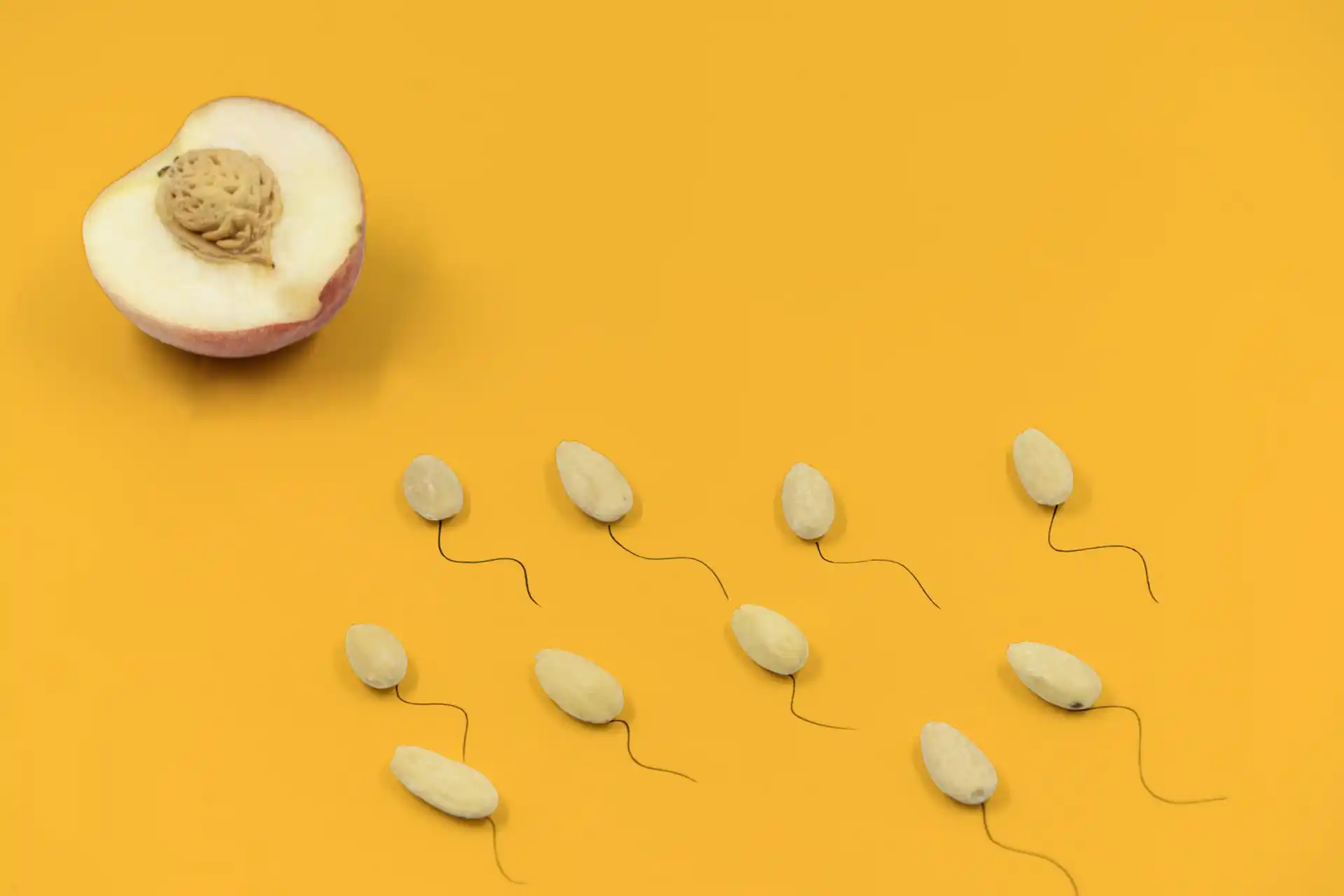Alimentos y calidad del esperma