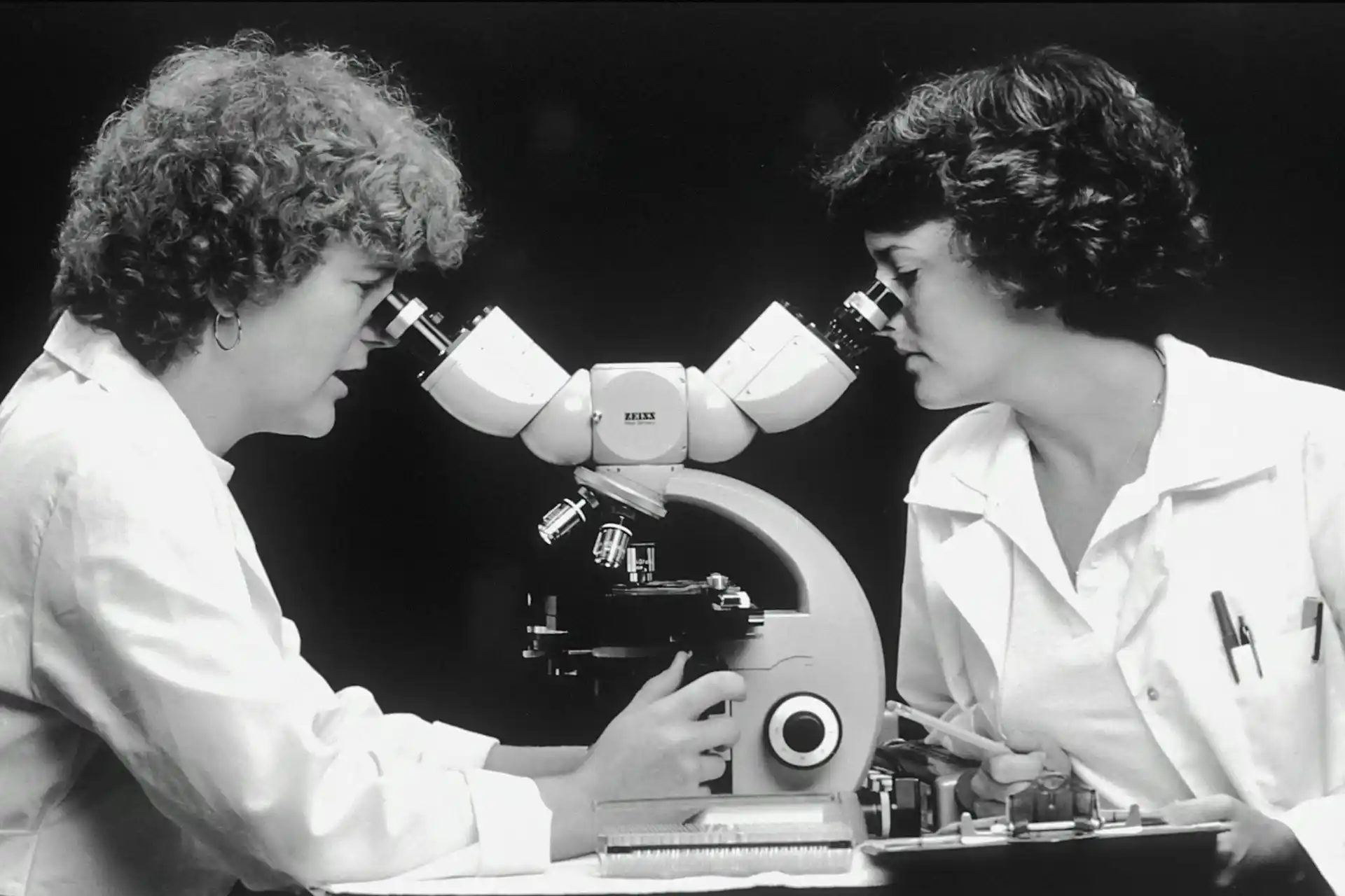 embryo glue