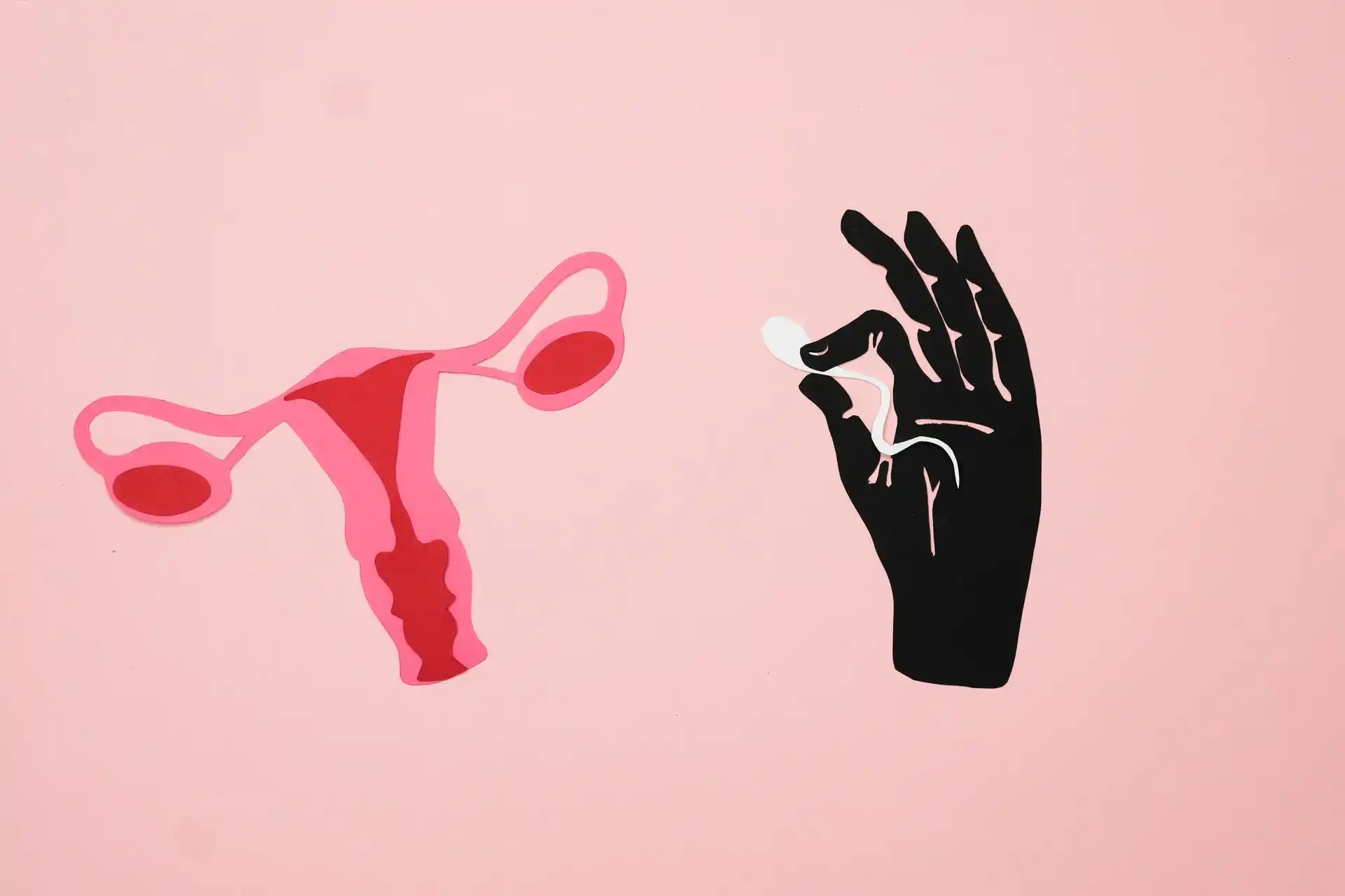 Why Clomid Causes Endometrial Thinning