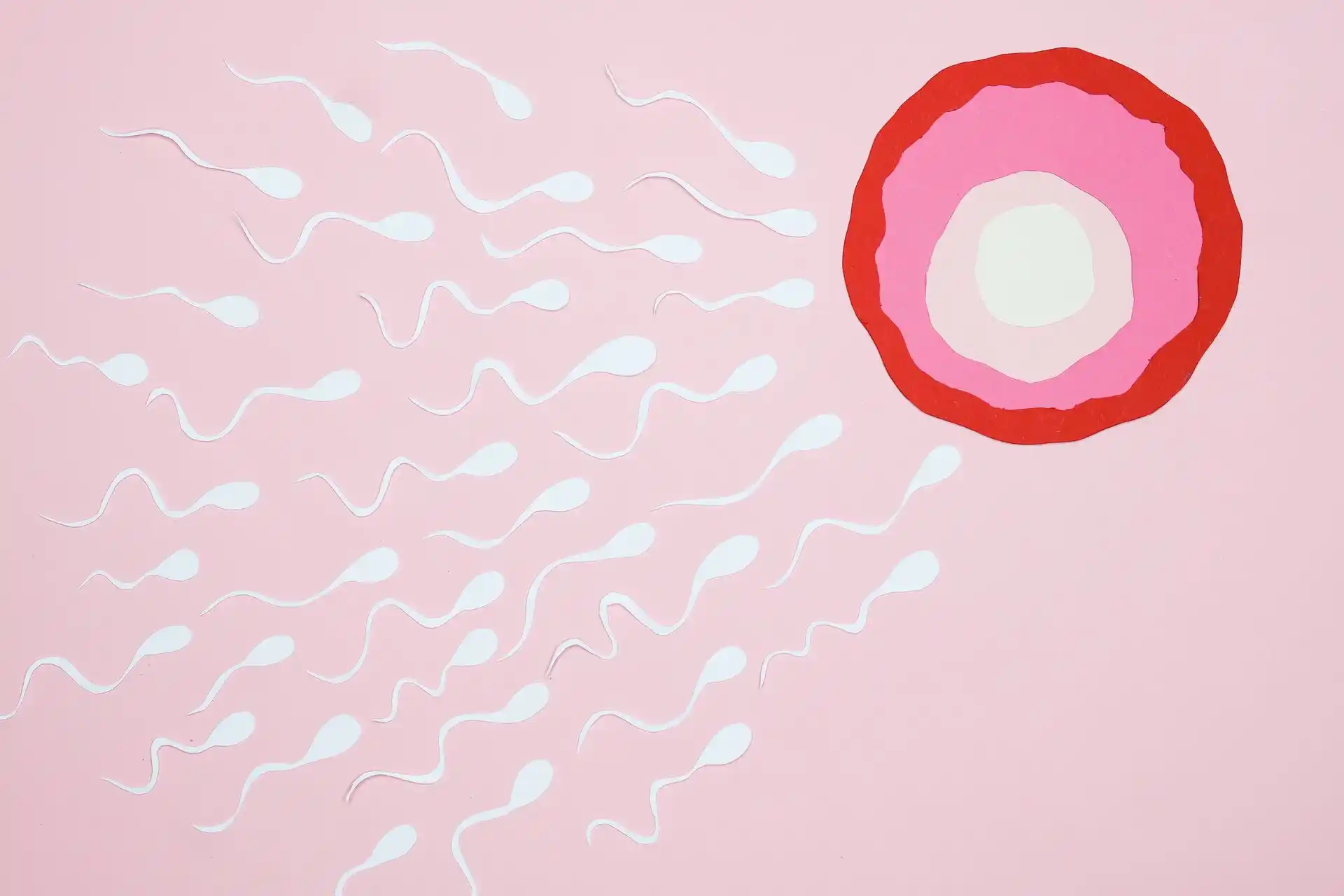 Advanced Sperm Selection Techniques
