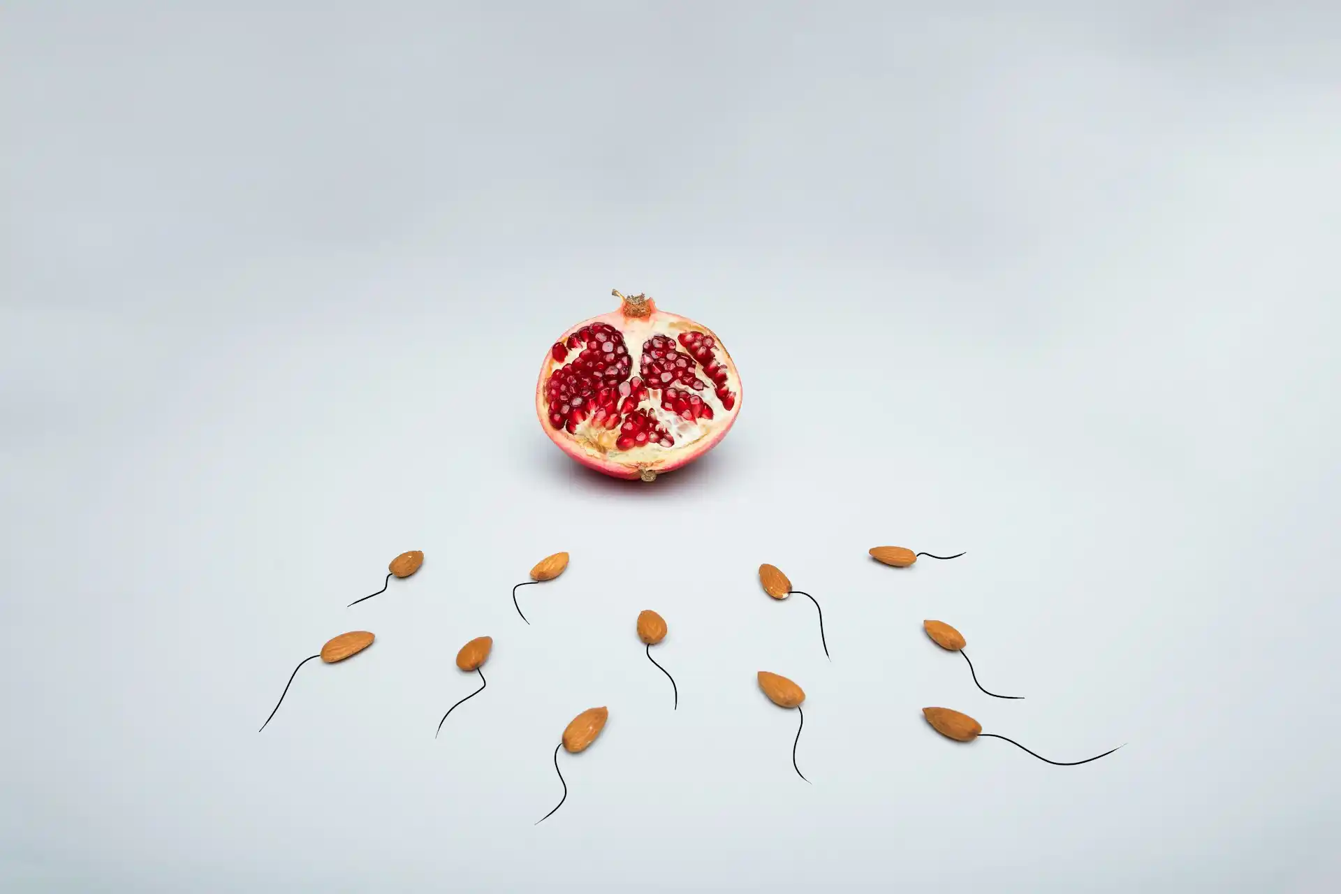 Oocyte Activation and Calcium Signaling